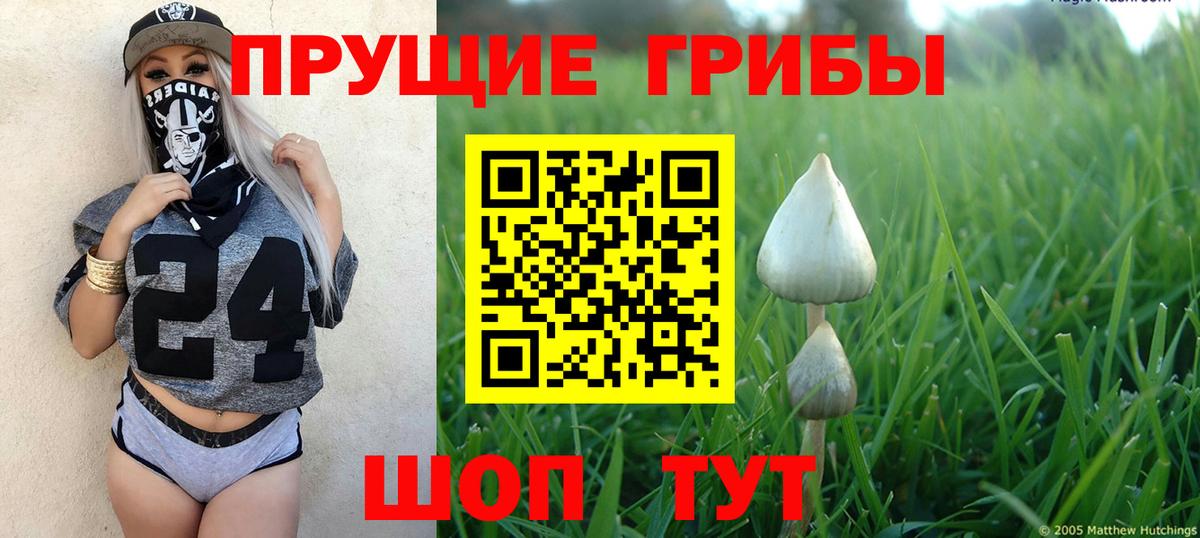 Галлюциногенные грибы Magic Shrooms Городец