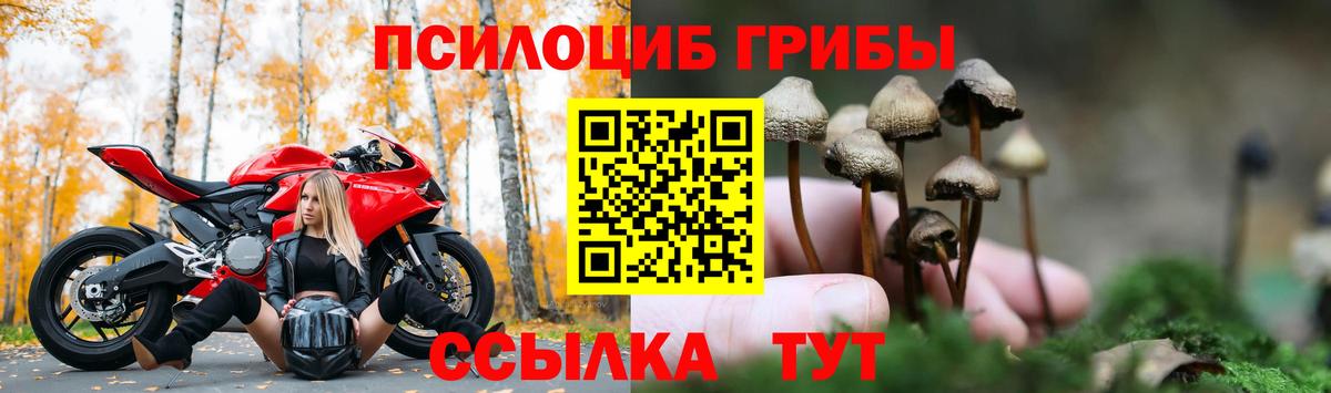 Псилоцибиновые грибы мицелий  Галлюциногенные грибы мицелий  Вход с VPN  Городец 